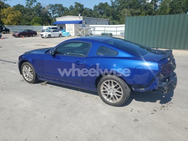 Photo 2 of 2013 FORD MUSTANG (VIN 1ZVBP8AM8D5273391)