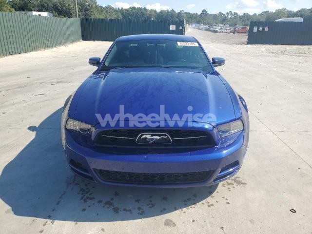 Photo 3 of 2013 FORD MUSTANG (VIN 1ZVBP8AM8D5273391)