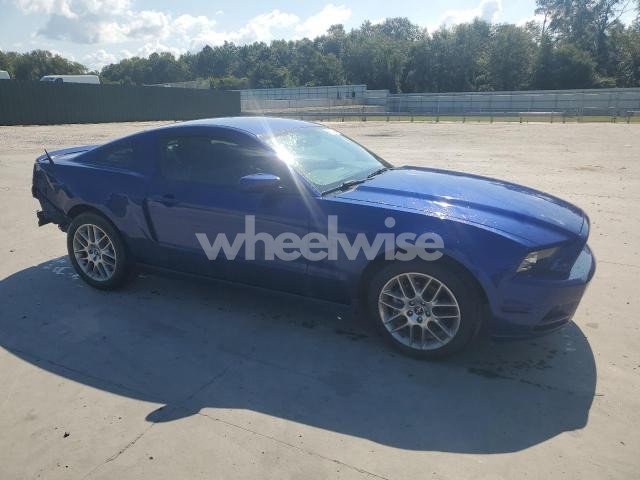 Photo 7 of 2013 FORD MUSTANG (VIN 1ZVBP8AM8D5273391)