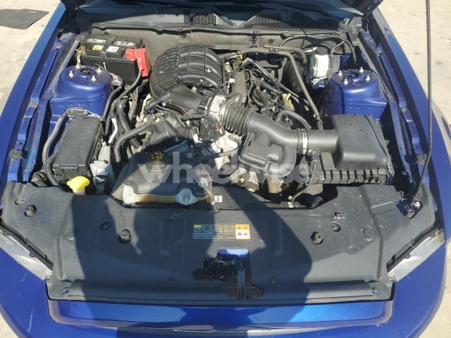 Photo 8 of 2013 FORD MUSTANG (VIN 1ZVBP8AM8D5273391)