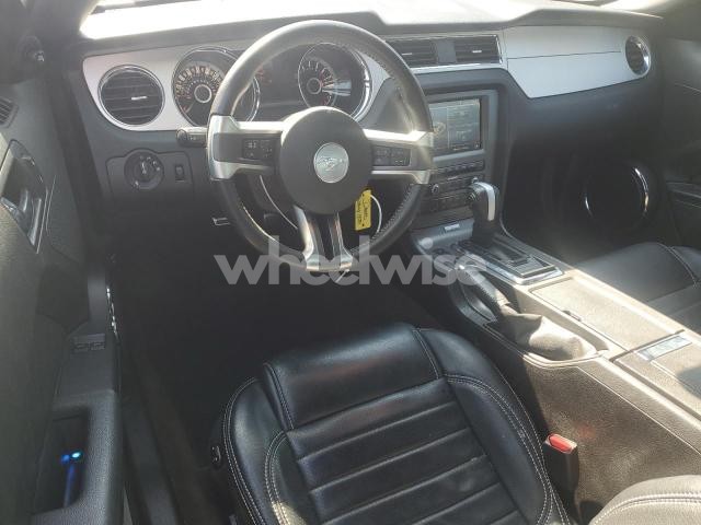 Photo 9 of 2013 FORD MUSTANG (VIN 1ZVBP8AM8D5273391)