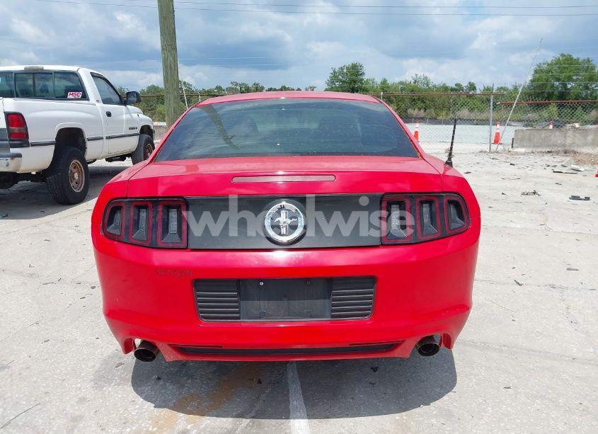 Photo 17 of 2014 Ford Mustang V6 (VIN 1ZVBP8AM8E5206985)