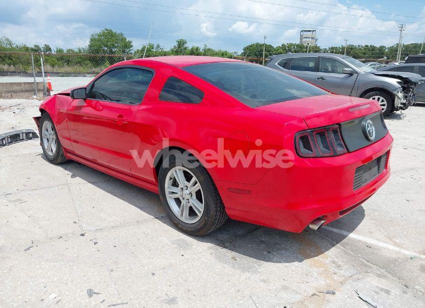 Photo 3 of 2014 Ford Mustang V6 (VIN 1ZVBP8AM8E5206985)