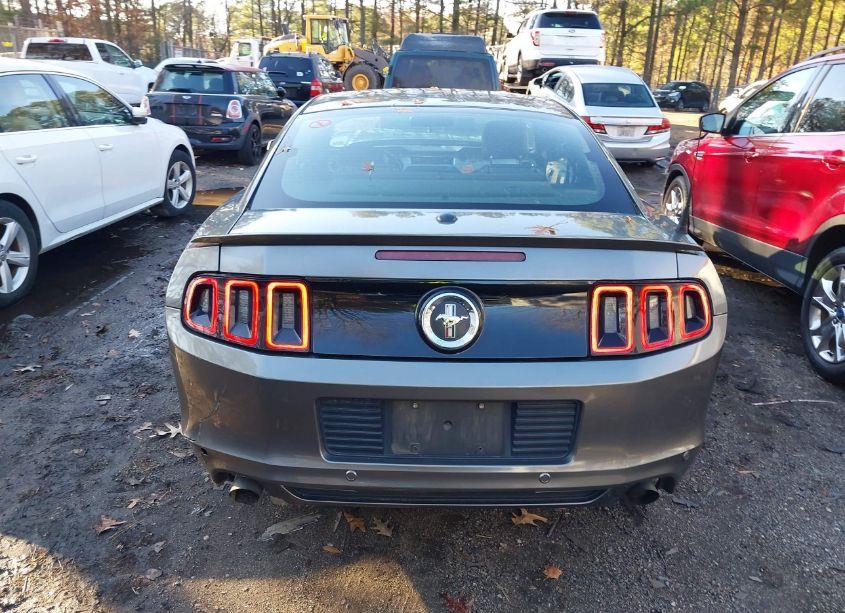 Photo 17 of 2014 Ford Mustang V6 PREMIUM (VIN 1ZVBP8AM8E5308951)