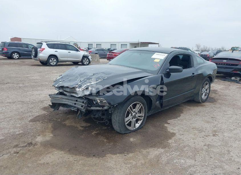 Photo 2 of 2014 Ford Mustang V6 (VIN 1ZVBP8AM8E5311624)