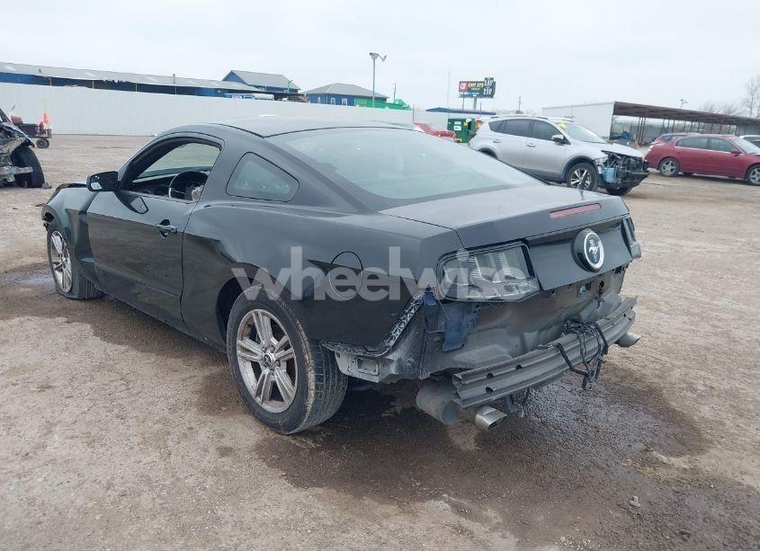 Photo 3 of 2014 Ford Mustang V6 (VIN 1ZVBP8AM8E5311624)