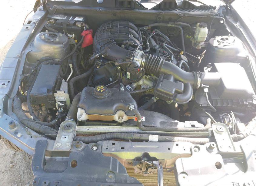 Photo 10 of 2014 Ford Mustang V6 (VIN 1ZVBP8AM8E5325295)