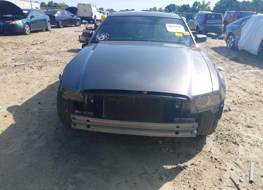 Photo 12 of 2014 Ford Mustang V6 (VIN 1ZVBP8AM8E5325295)