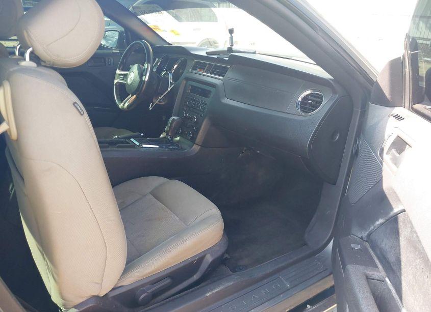 Photo 5 of 2014 Ford Mustang V6 (VIN 1ZVBP8AM8E5325295)