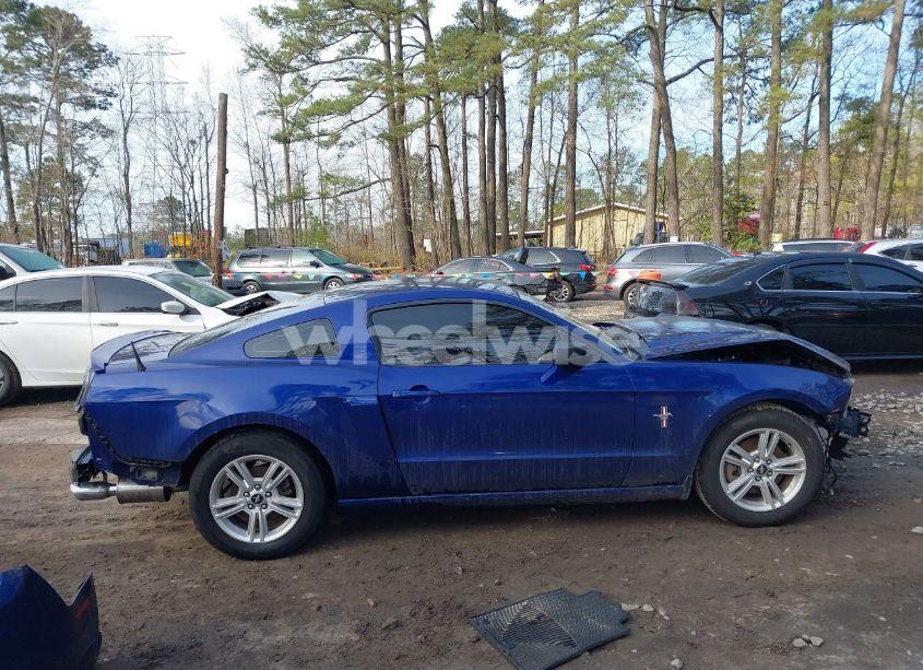 Photo 14 of 2014 Ford Mustang V6 (VIN 1ZVBP8AM8E5331159)