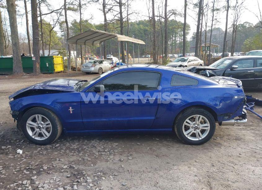 Photo 15 of 2014 Ford Mustang V6 (VIN 1ZVBP8AM8E5331159)