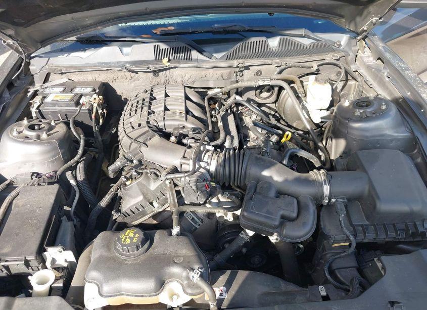 Photo 10 of 2014 Ford Mustang V6 (VIN 1ZVBP8AM8E5334157)