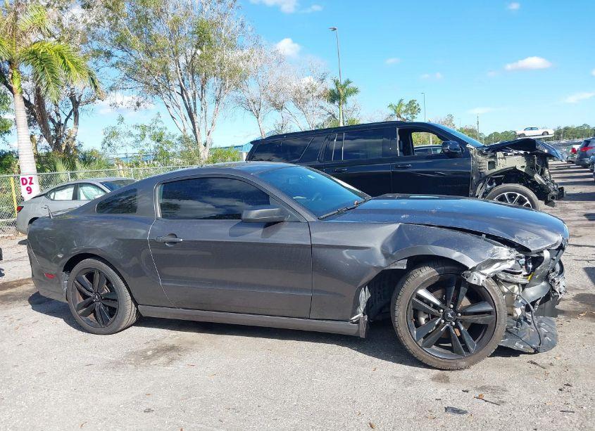 Photo 14 of 2014 Ford Mustang V6 (VIN 1ZVBP8AM8E5334157)