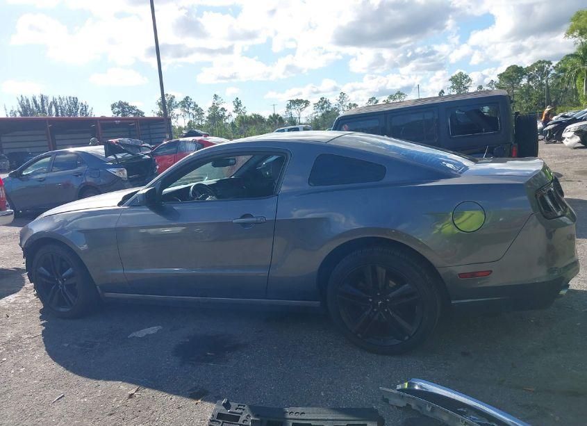 Photo 15 of 2014 Ford Mustang V6 (VIN 1ZVBP8AM8E5334157)