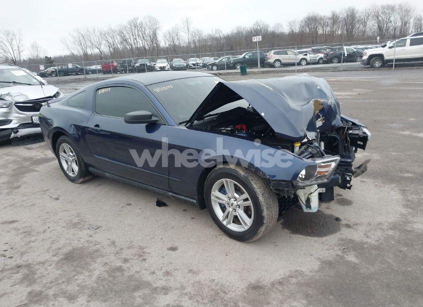 2011 Ford Mustang V6 (VIN 1ZVBP8AM9B5105773) main photo