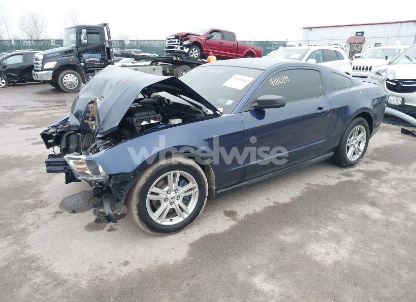 Photo 2 of 2011 Ford Mustang V6 (VIN 1ZVBP8AM9B5105773)