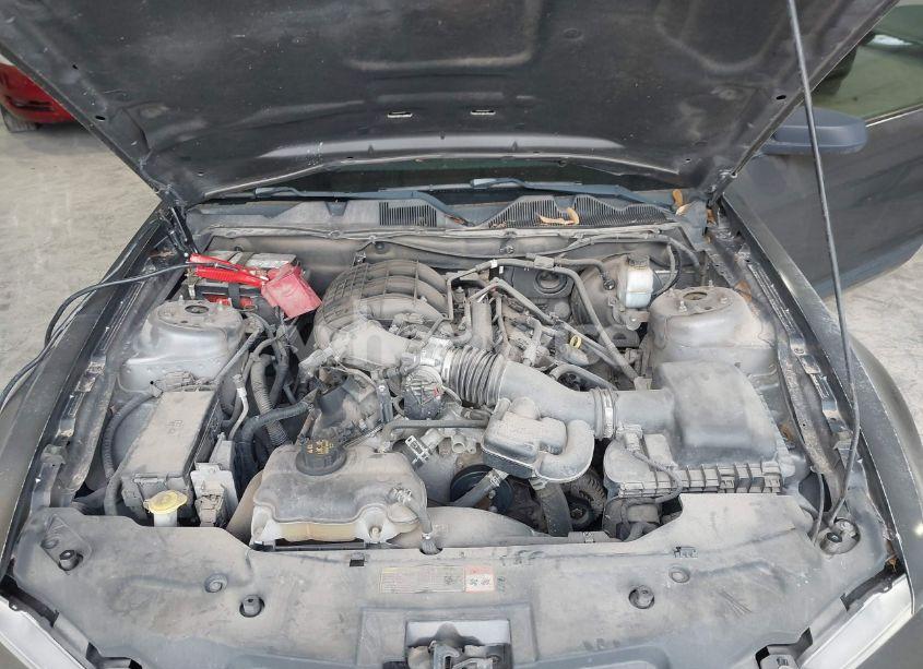 Photo 10 of 2011 Ford Mustang V6 PREMIUM (VIN 1ZVBP8AM9B5111699)