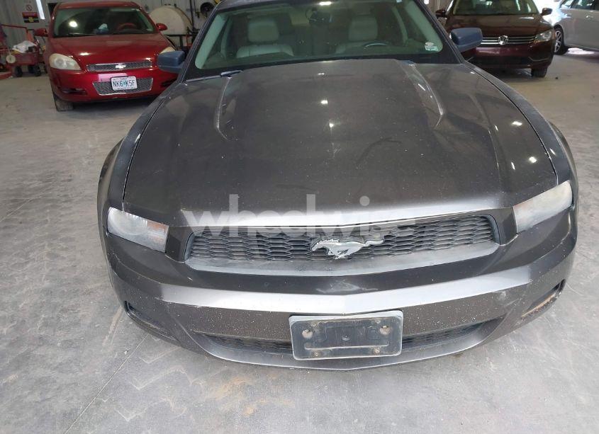 Photo 6 of 2011 Ford Mustang V6 PREMIUM (VIN 1ZVBP8AM9B5111699)