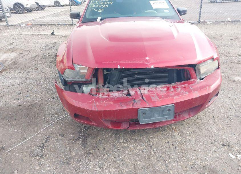 Photo 6 of 2012 Ford Mustang V6 (VIN 1ZVBP8AM9C5223890)