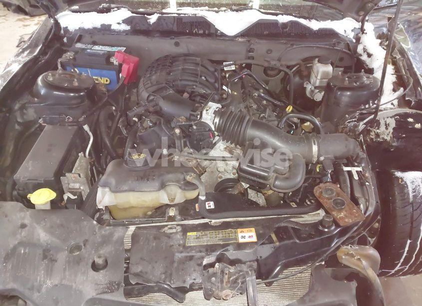 Photo 10 of 2012 Ford Mustang V6 PREMIUM (VIN 1ZVBP8AM9C5250846)