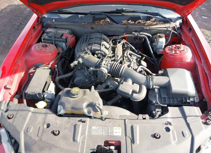 Photo 10 of 2013 Ford Mustang V6 PREMIUM (VIN 1ZVBP8AM9D5204984)