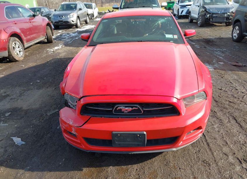 Photo 12 of 2013 Ford Mustang V6 PREMIUM (VIN 1ZVBP8AM9D5204984)