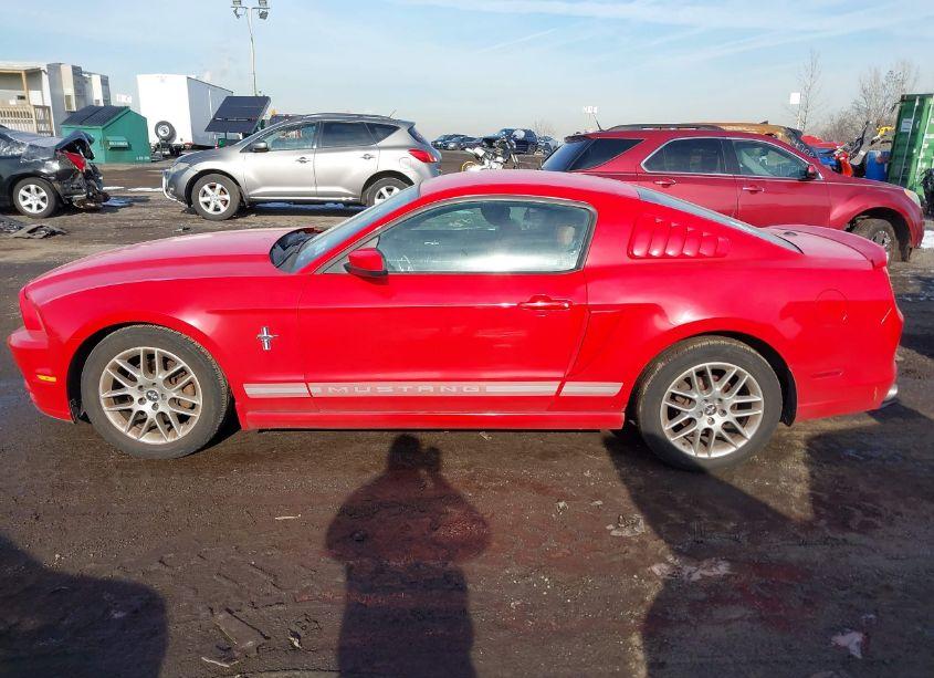 Photo 14 of 2013 Ford Mustang V6 PREMIUM (VIN 1ZVBP8AM9D5204984)