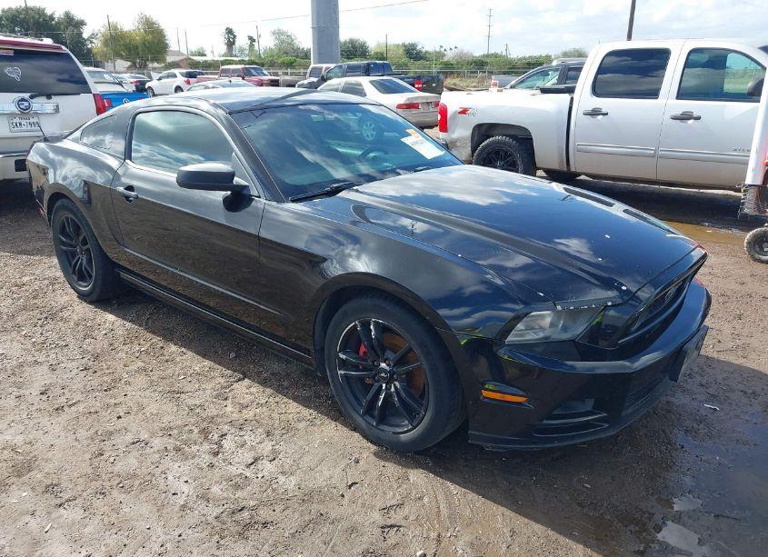 2013 Ford Mustang V6 (VIN 1ZVBP8AM9D5209215) main photo