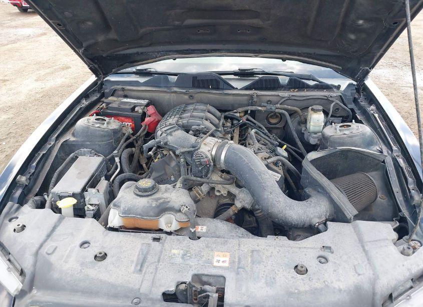 Photo 10 of 2013 Ford Mustang V6 (VIN 1ZVBP8AM9D5209215)
