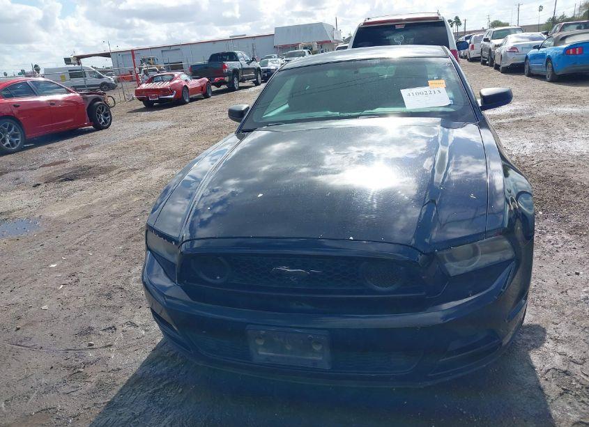 Photo 12 of 2013 Ford Mustang V6 (VIN 1ZVBP8AM9D5209215)