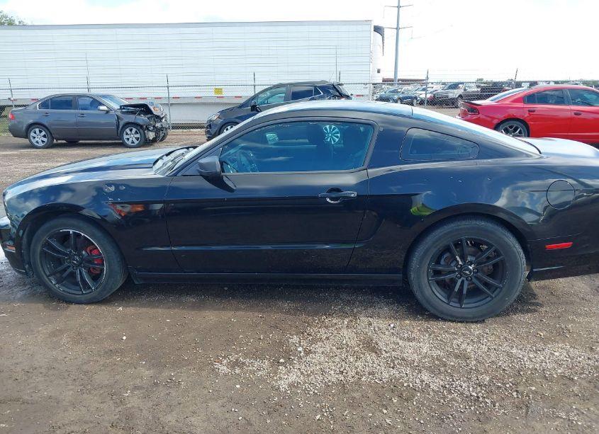 Photo 14 of 2013 Ford Mustang V6 (VIN 1ZVBP8AM9D5209215)