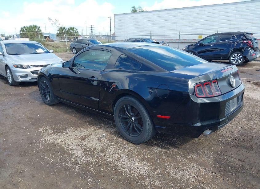 Photo 3 of 2013 Ford Mustang V6 (VIN 1ZVBP8AM9D5209215)