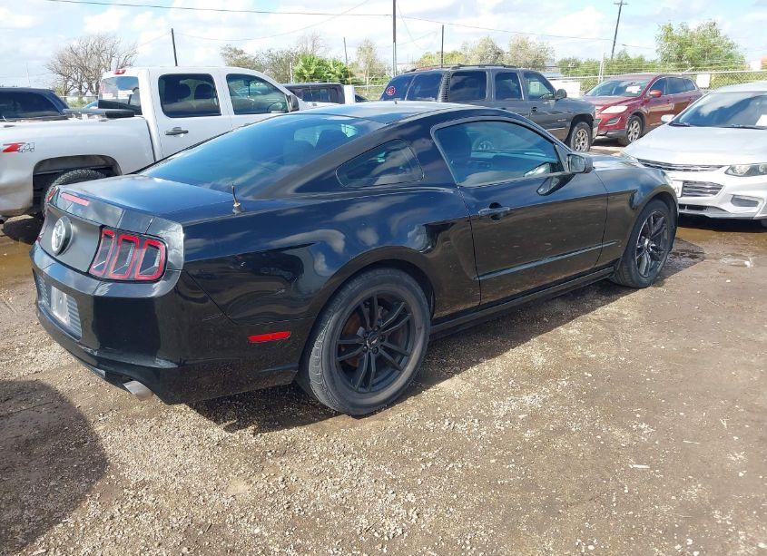 Photo 4 of 2013 Ford Mustang V6 (VIN 1ZVBP8AM9D5209215)