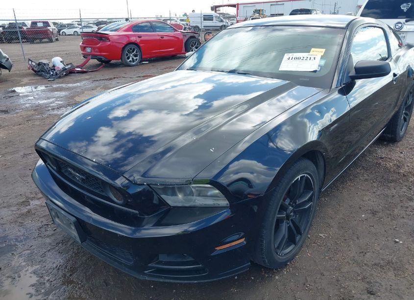 Photo 6 of 2013 Ford Mustang V6 (VIN 1ZVBP8AM9D5209215)