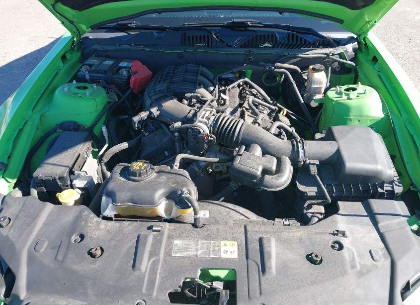 Photo 10 of 2013 Ford Mustang V6 (VIN 1ZVBP8AM9D5221266)