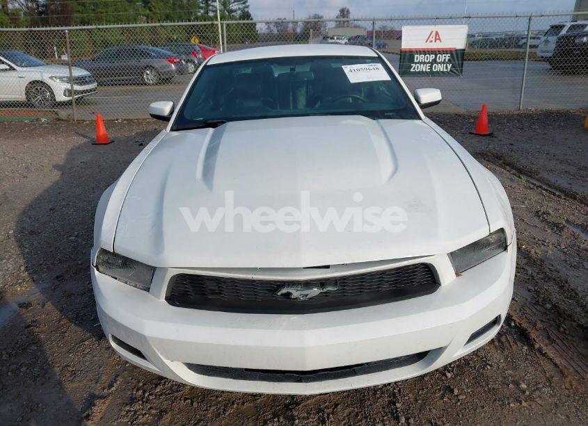 Photo 12 of 2013 Ford Mustang V6 PREMIUM (VIN 1ZVBP8AM9D5227567)