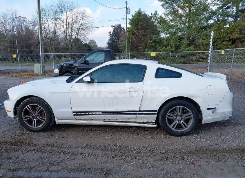 Photo 14 of 2013 Ford Mustang V6 PREMIUM (VIN 1ZVBP8AM9D5227567)