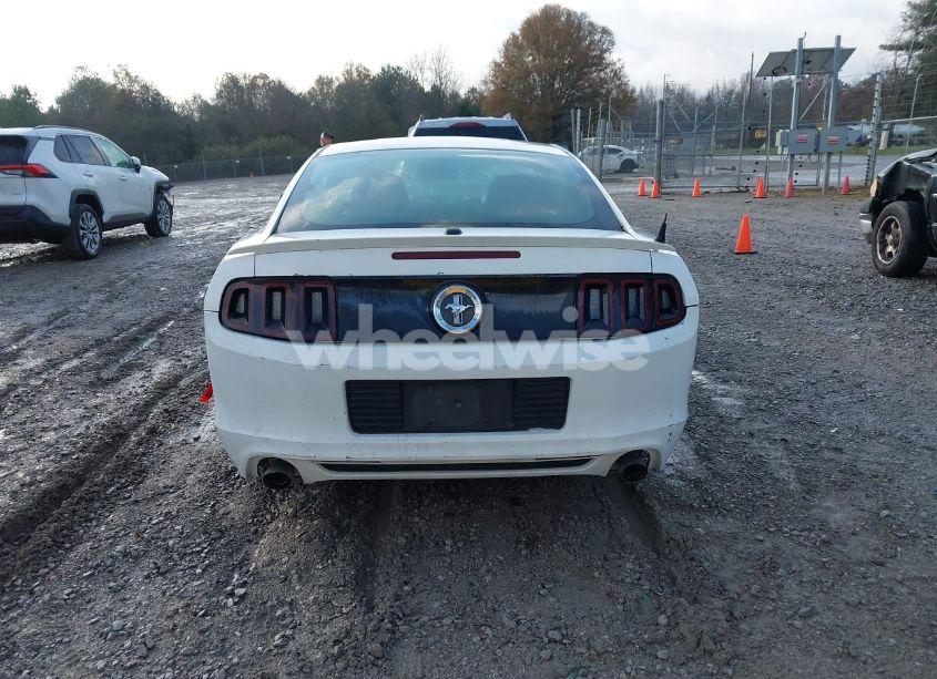 Photo 16 of 2013 Ford Mustang V6 PREMIUM (VIN 1ZVBP8AM9D5227567)