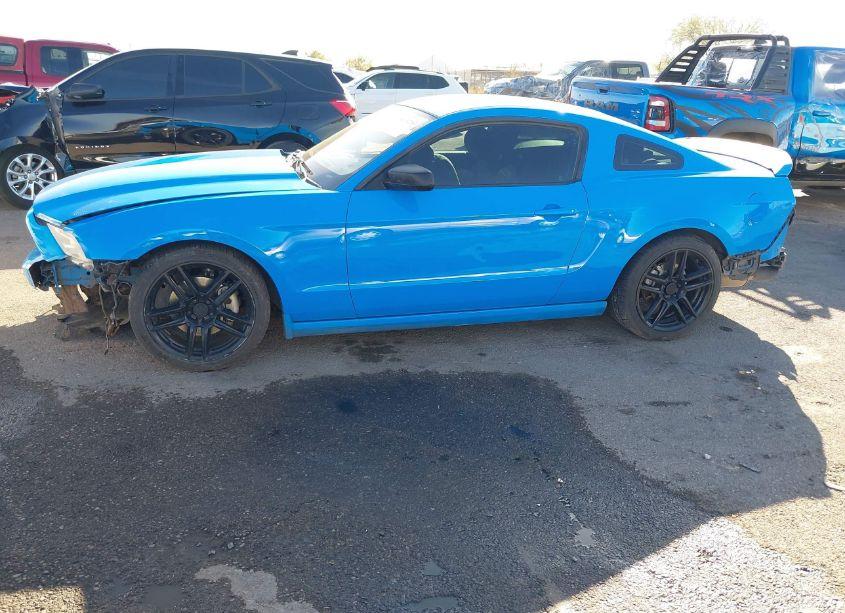 Photo 15 of 2014 Ford Mustang V6 (VIN 1ZVBP8AM9E5255256)
