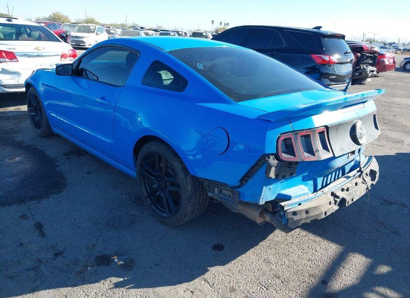 Photo 3 of 2014 Ford Mustang V6 (VIN 1ZVBP8AM9E5255256)