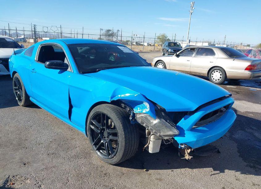 Photo 6 of 2014 Ford Mustang V6 (VIN 1ZVBP8AM9E5255256)