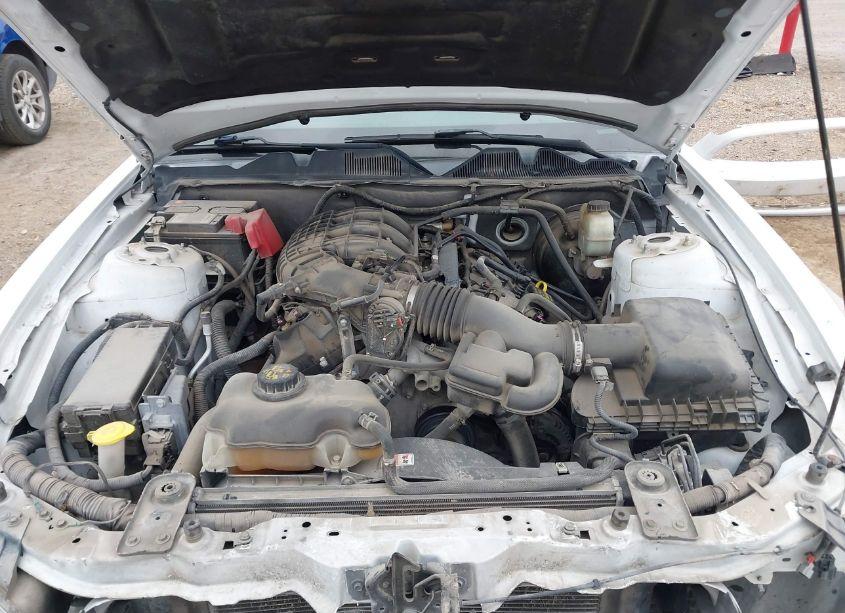 Photo 10 of 2014 Ford Mustang V6 PREMIUM (VIN 1ZVBP8AM9E5268573)