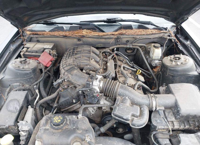 Photo 10 of 2014 Ford Mustang V6 PREMIUM (VIN 1ZVBP8AM9E5269500)