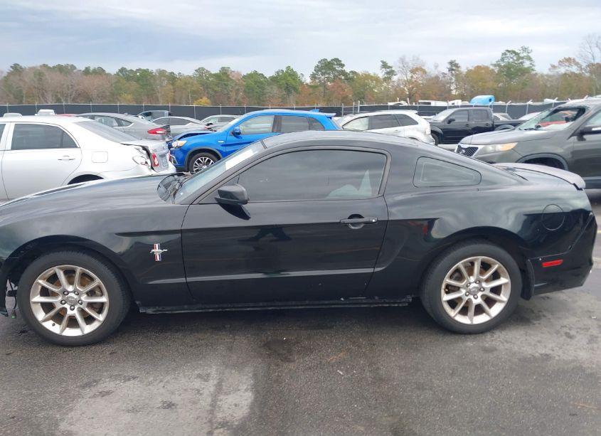 Photo 14 of 2014 Ford Mustang V6 PREMIUM (VIN 1ZVBP8AM9E5269500)