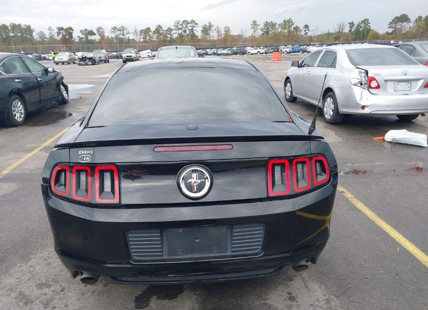 Photo 16 of 2014 Ford Mustang V6 PREMIUM (VIN 1ZVBP8AM9E5269500)