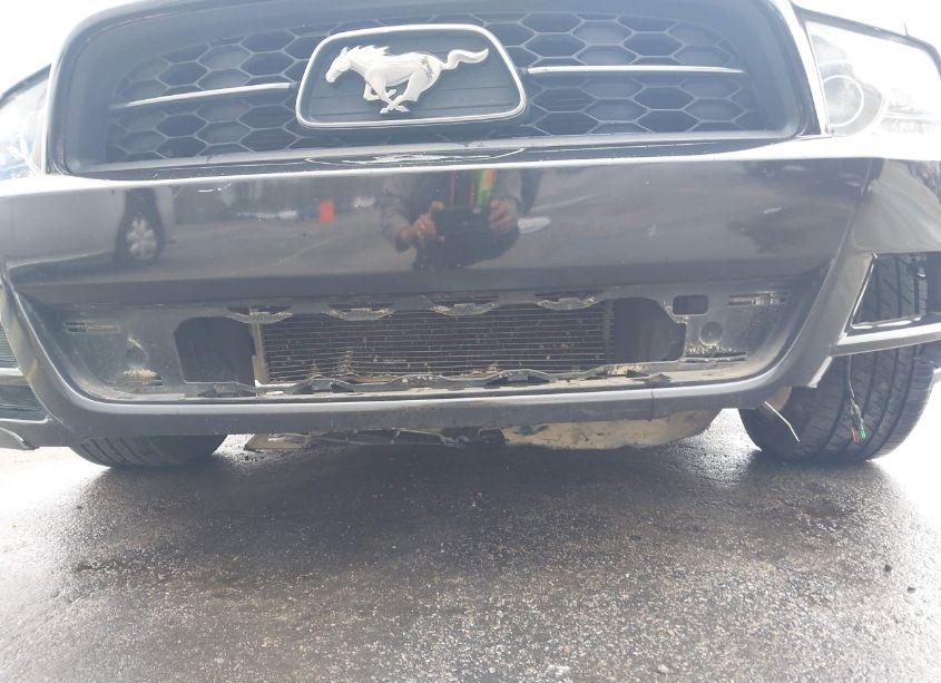 Photo 6 of 2014 Ford Mustang V6 PREMIUM (VIN 1ZVBP8AM9E5269500)