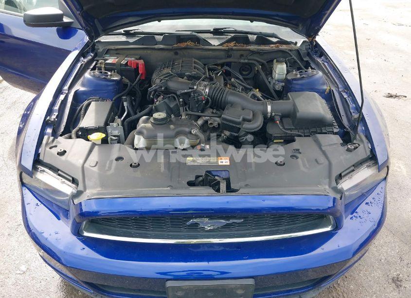 Photo 10 of 2014 Ford Mustang V6 (VIN 1ZVBP8AM9E5273871)