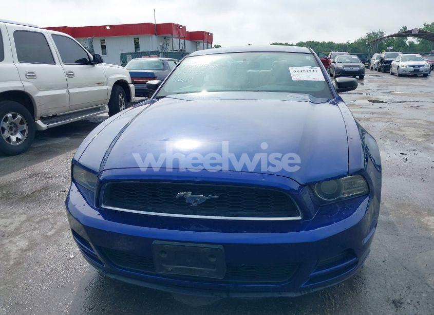 Photo 12 of 2014 Ford Mustang V6 (VIN 1ZVBP8AM9E5273871)