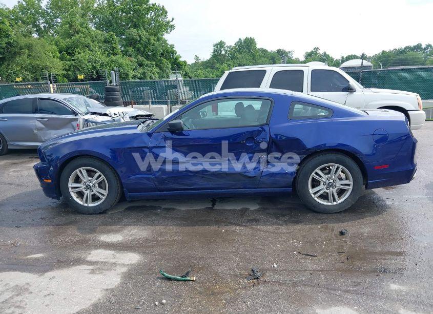 Photo 14 of 2014 Ford Mustang V6 (VIN 1ZVBP8AM9E5273871)