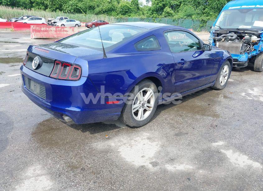 Photo 4 of 2014 Ford Mustang V6 (VIN 1ZVBP8AM9E5273871)